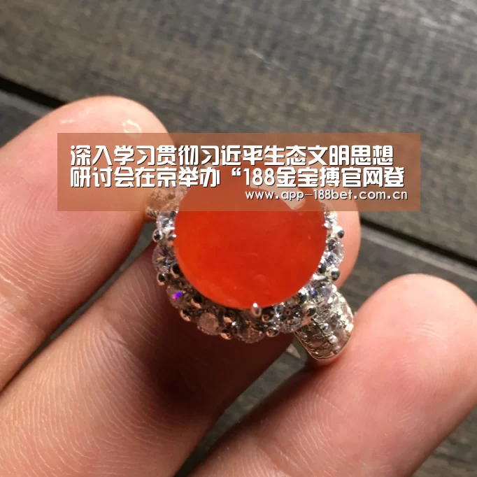 深入学习贯彻习近平生态文明思想研讨会在京举办“188金宝搏官网登录”(图2) 金宝搏投注平台