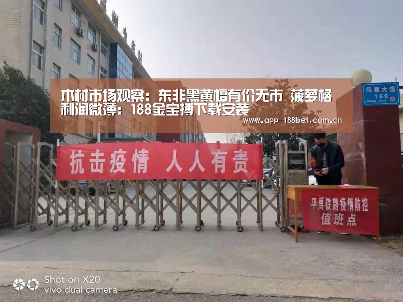 木材市场观察:东非黑黄檀有价无市 菠萝格利润微薄:188金宝搏下载安装(图1) 金宝搏投注平台